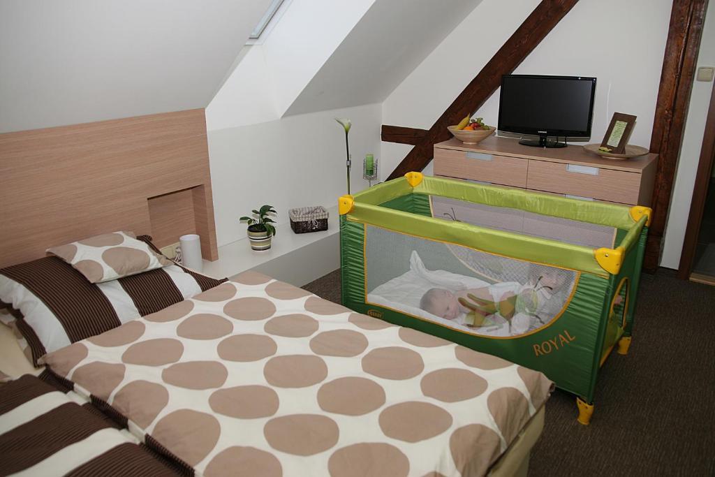 Hanušovice Penzion A Relax Centrum Andelka חדר תמונה
