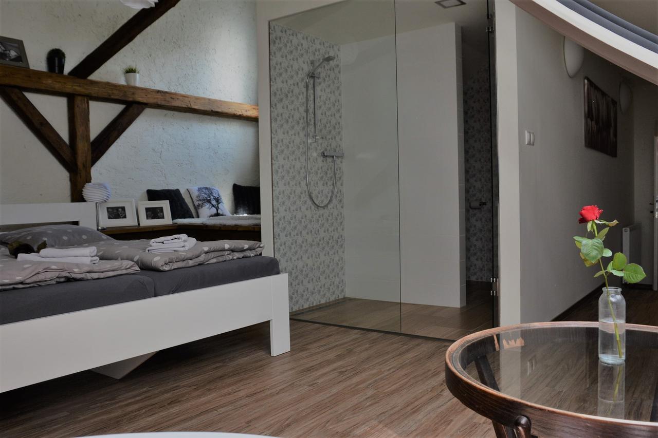 Hanušovice Penzion A Relax Centrum Andelka מראה חיצוני תמונה